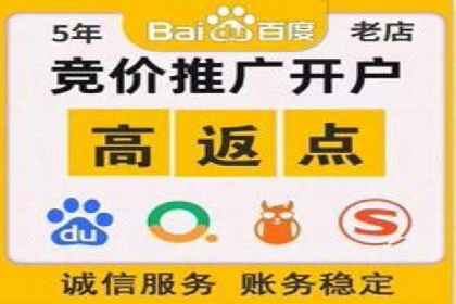 案例分析：SEM推广助力行业竞争突围